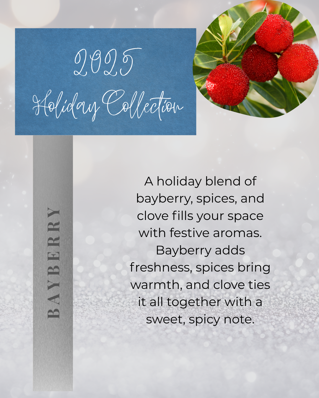 2025 Winter Scents Collection