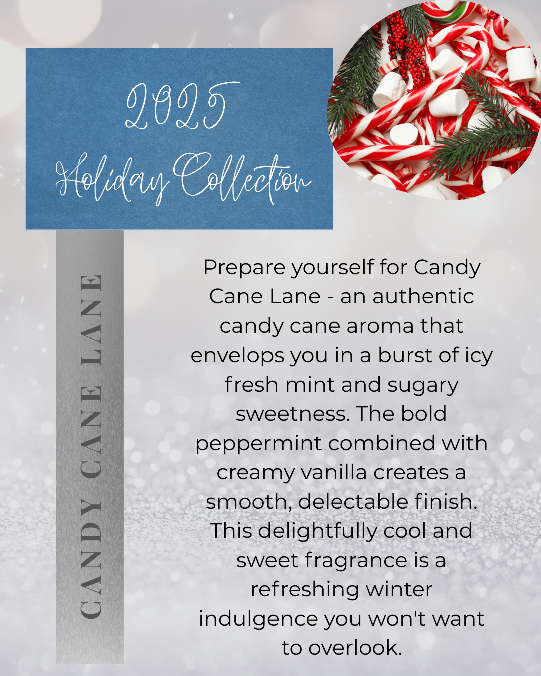 2025 Winter Scents Collection