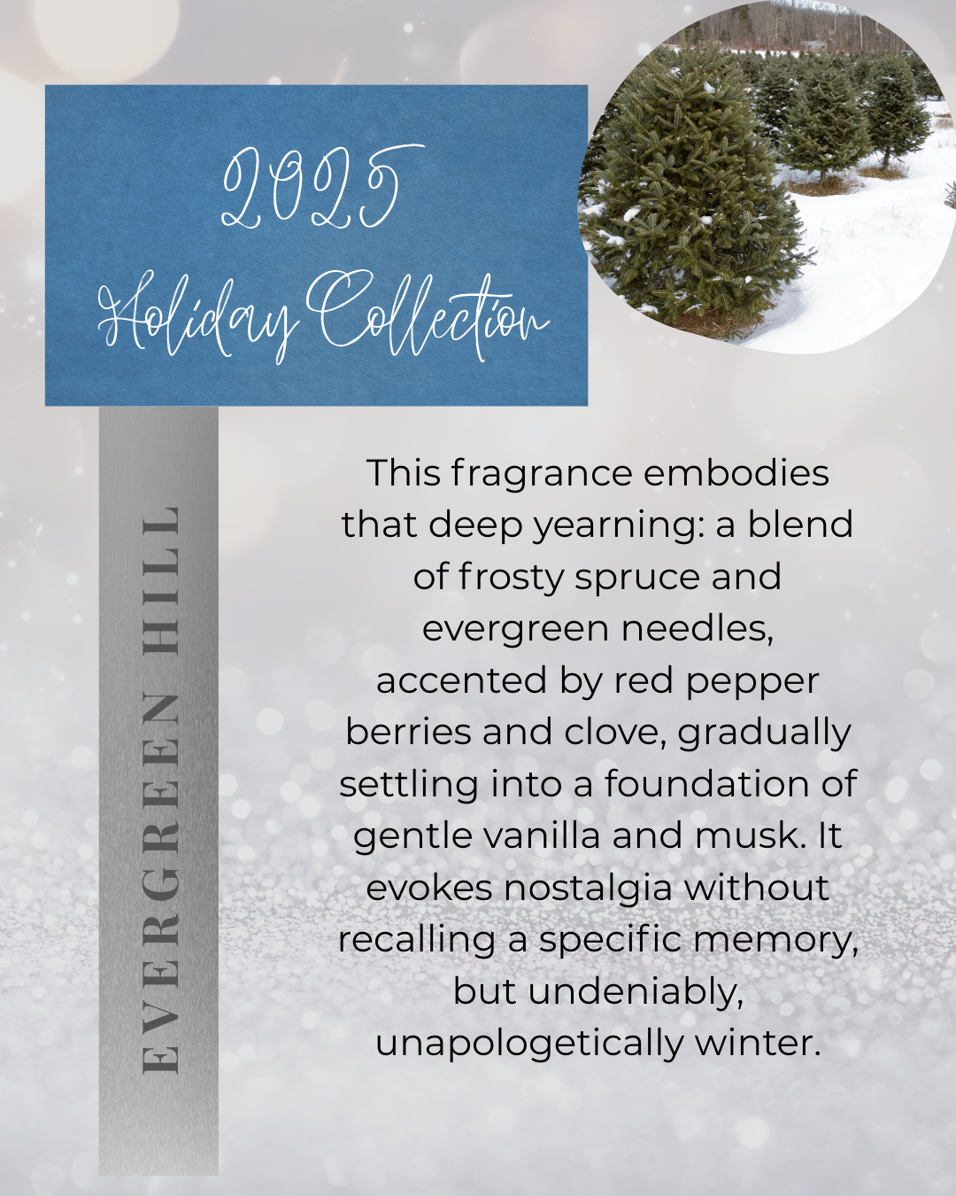 2025 Winter Scents Collection