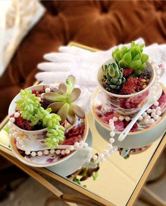 Fairy Teacup Garden Craft -n-Sip